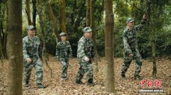 广东林长制落实成效显著